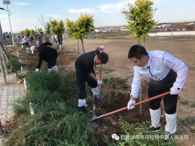 同和太种畜场新领导团队引领企业迈向更高峰